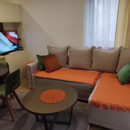 Apartament Forest Andrijana Zlatibor Zewnętrze zdjęcie