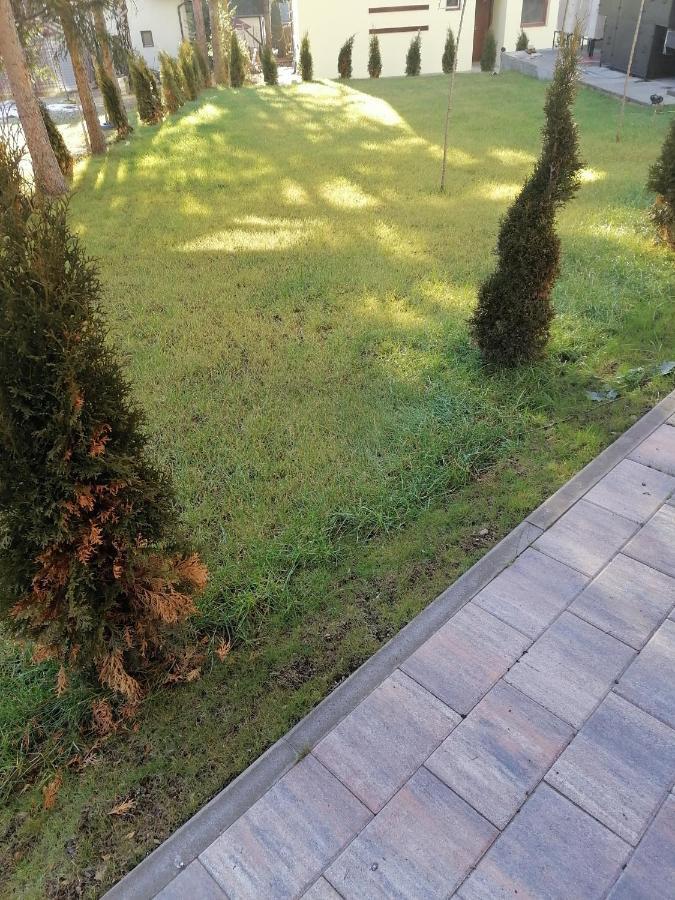 Apartament Forest Andrijana Zlatibor Zewnętrze zdjęcie