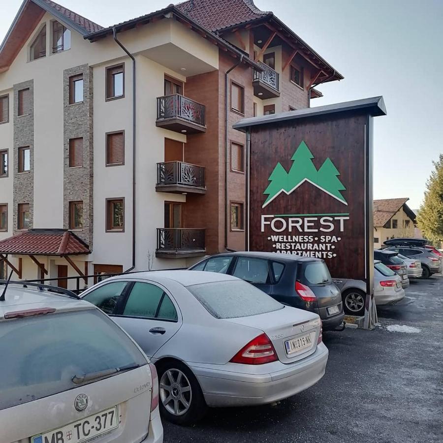 Apartament Forest Andrijana Zlatibor Zewnętrze zdjęcie